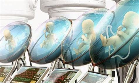 Artificial Wombs Could Be Available In A Few Years Says German