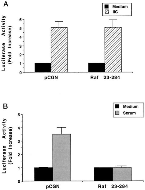 Fcr Dependent Nf B Activation Is Independent Of Raf A Thp