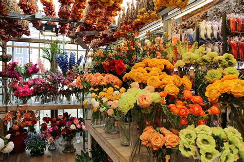 Flower Market Amsterdam Location | Best Flower Site