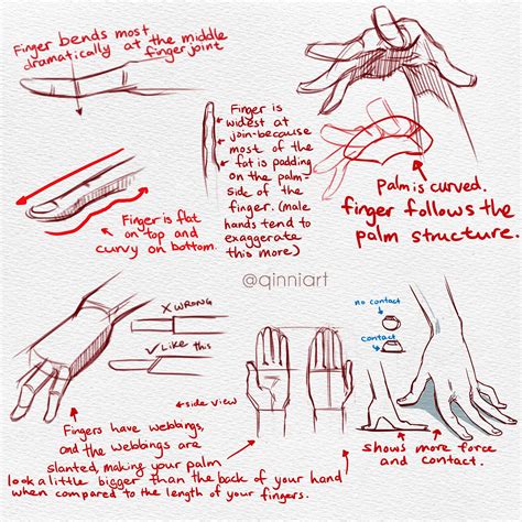 Pin by Jason Sikes on Anatomy (Arm and Hands) | Hands tutorial, Hand ...