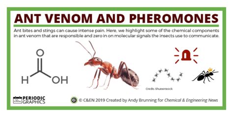 The Chemistry Of Ant Venom And Pheromones In Canden Compound Interest