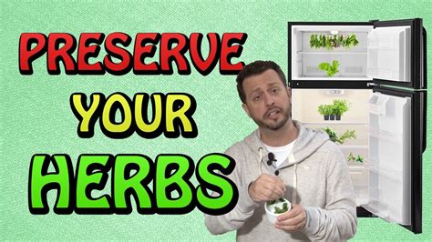 Preserve Your Herbs Youtube