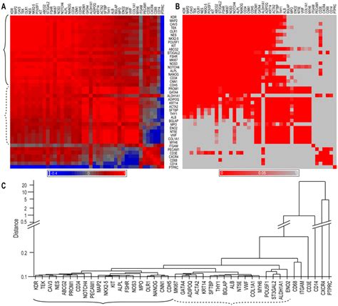 Correlation And Clustering Analysis Of Data A A Heat Map Of The