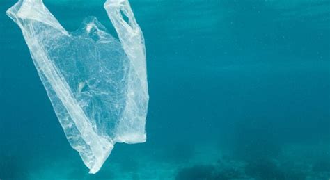 Les Britanniques Veulent Interdire Les Microbilles De Plastique Grazia