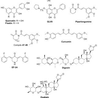 Structure of selected senolytics. (A) Natural products. (B) Repurposed ...
