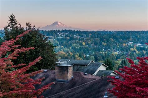 Premium Photo Red Autumn Leaves And Mount Rainier