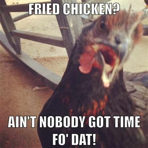 20 Chicken Memes That Are Surprisingly Funny