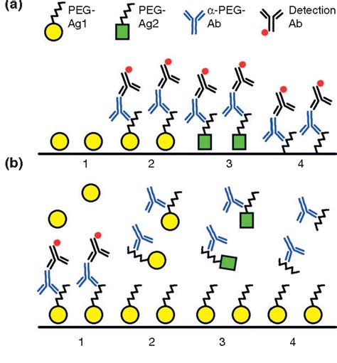 Fluorescent Treponemal Antibody Absorption Test Semantic Scholar