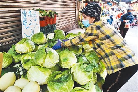 豪雨＋颱風 菜價飆破每公斤50元 上市櫃 旺得富理財網