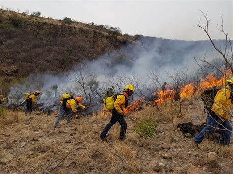 Combatientes De Incendios Forestales Guardianes De La Biodiversidad En