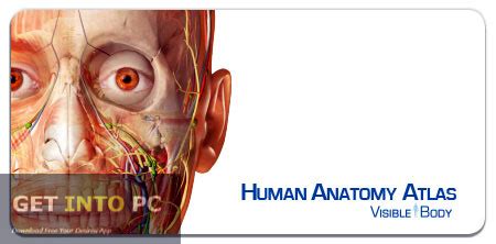 Visible Body Human Anatomy Atlas For Pc Full