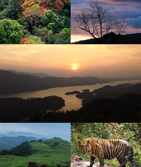 Marayoor – A trek to the unknown forest of Marayur | Trekking Packages ...