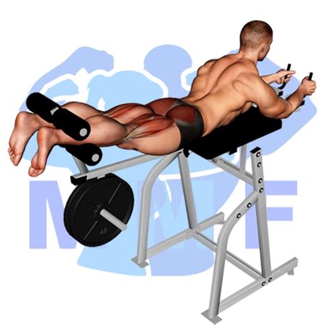 43 Glutes Exercises For Men A Simple Fitness Guide