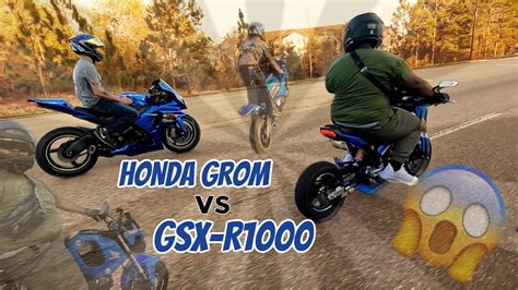 Honda Grom Vs GSX R1000 Do You Prefer Mini Moto Or Crotch Rocket