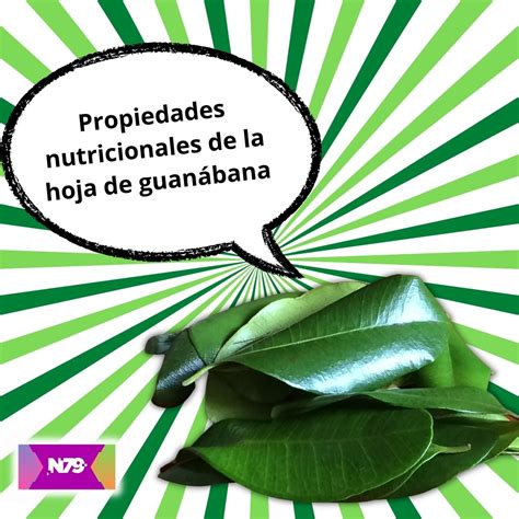 Propiedades Nutricionales De La Hoja De Guan Bana