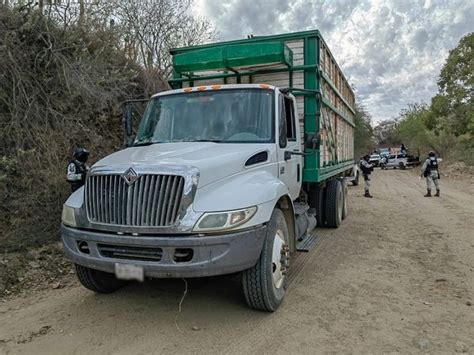 En Sinaloa Guardia Nacional Asegura Tractocamión Con Precursores Químicos Empleados Para