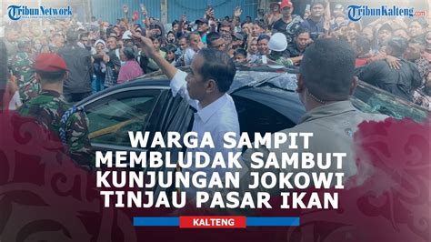 Momen Kunjungan Jokowi Ke Kalteng Warga Membludak Sambut Presiden Saat