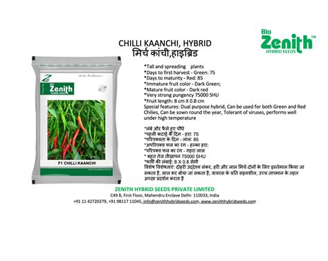 Green Hybrid Chilli Seeds Kaanchi Packaging Type Pouch Packaging