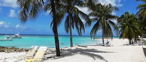 Jumppmile Women S Sheer Mesh Long Sleeve See Through Swimwear Bikini Cover Up Dress At Amazon