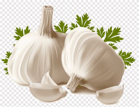 ثوم, ثوم png