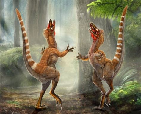 Dinosaur had orange tail feathers: scientists | CBC News