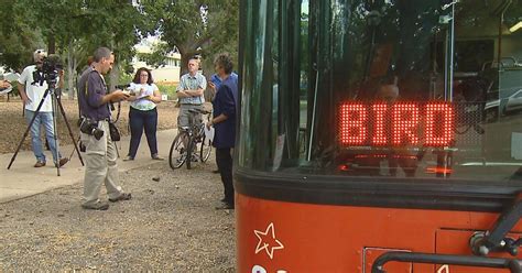 Buses In Boulder Are Going To The Birds Cbs Colorado