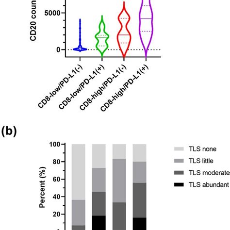 Cd20 Positive Cells And Tls Between Four Immune Subtypes Based On Cd8