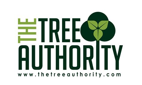 Red Oak Tree Facts Quercus Rubra The Tree Authority