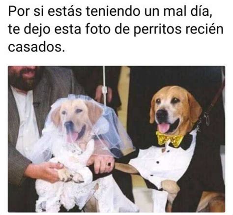 Ave María purísima Memes