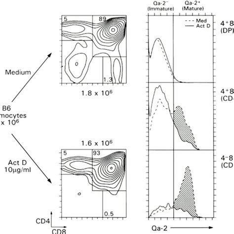 Differential Resistance Of Immature Thymocytes And Mature T Cells To