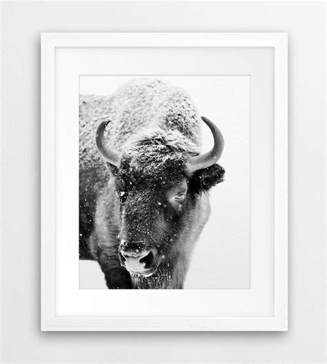 Buffalo Print Bison Wall Art American Bison Photo Snow - Etsy | Kids room printables, Buffalo ...