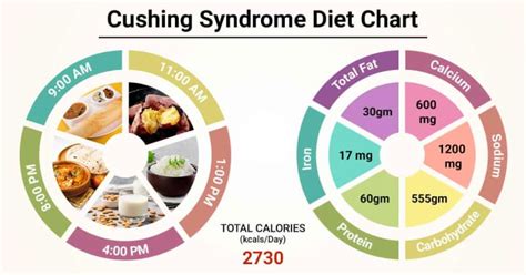 Diet Chart For cushing syndrome Patient, Cushing Syndrome Diet chart ...