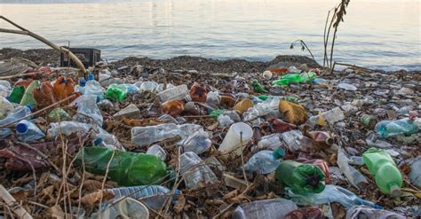 作者 望み 評決 プラスチック 汚染 日本 作業 セッション ちなみに