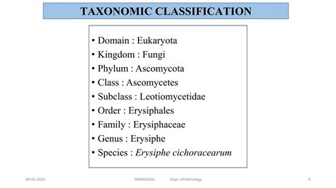 Monograph Of Erysiphe Cichoracearum By Sachin R Kondaguripptx