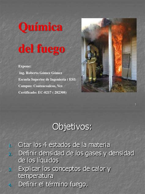 Quimica Del Fuego Pdf Combustión Calor