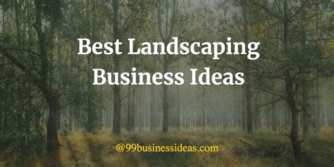 Best 13 Landscaping Business Ideas with Good Profit