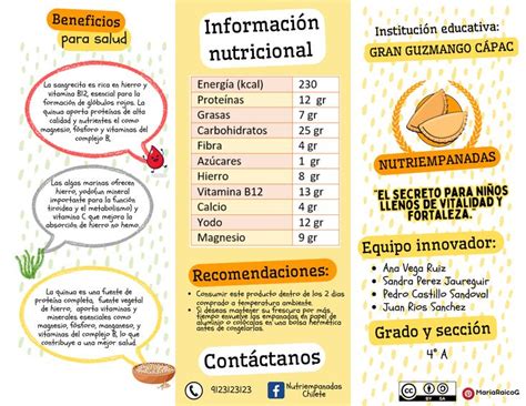 Triptico De Una Propuesta De Emprendimiento En 2024 Nutricion Humana