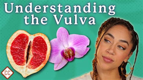 The Vulva Vagina Explained Sex Ed