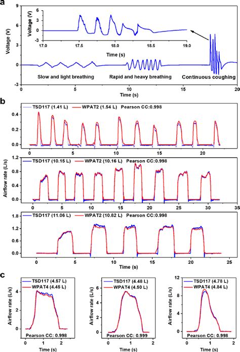 Respiratory Breathing Patterns