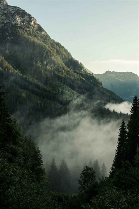 Горы в тумане (60 фото)