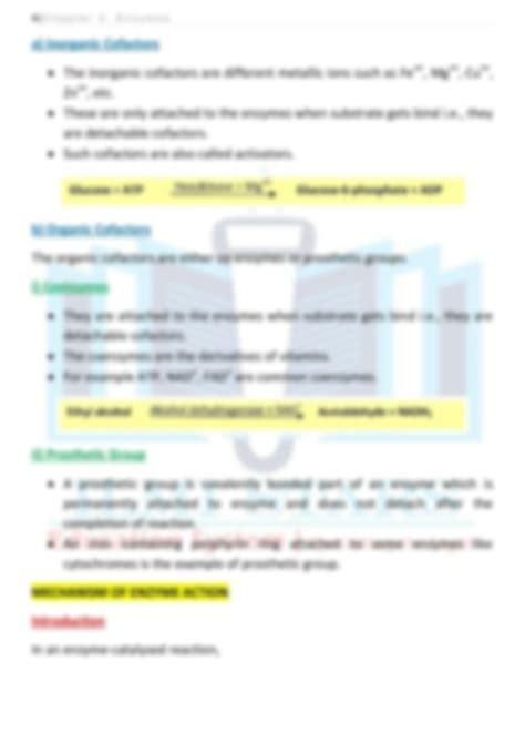 Solution Class Biology Chapter Enzymes Studypool