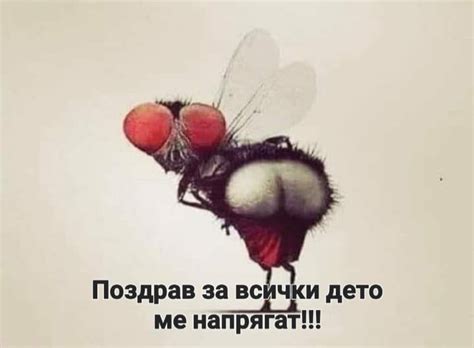 ОТКАЧАЛНИК🤪ТОЧКА🤡КОМ🤪