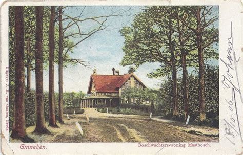 De Boschwachter In Het Mastbos Te Breda Omstreeks 1901 Boom Van