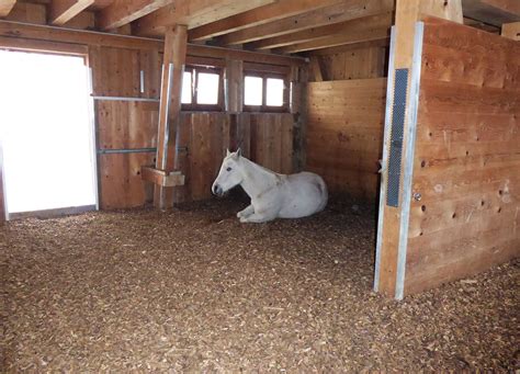 Stall Und Unterstand Unterstand Pferde Pferde Stall Bauen Pferdestall