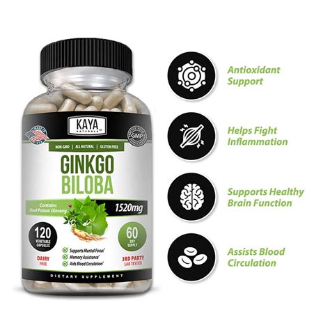 Ginkgo Biloba Softgel Brain Mental Memory Health Multivitamin Gingko