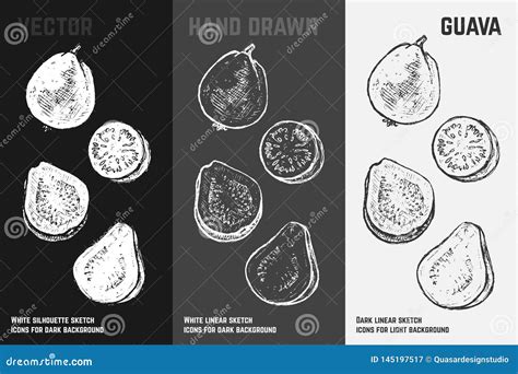 Iconos Exhaustos De La Guayaba De La Mano Ilustraci N Del Vector