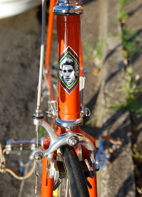 Eddy Merckx Molteni replica - Pedal Room