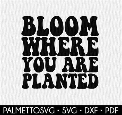 Bloom Where You Are Planted Svg Bloom Svg Books Wavy Svg - Etsy