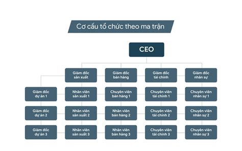 Chia sẻ với hơn 53 về mô hình cơ cấu tổ chức ma trận mới nhất Du học