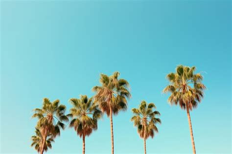 Tree Sky Outdoors Nature Ai Free Photo Rawpixel